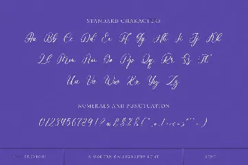 Wonderful Calligraphy font