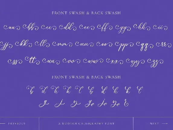 Wonderful Calligraphy font