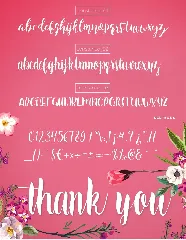 Constance Brush Font Trio