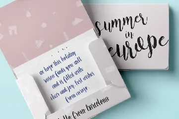 Constance Brush Font Trio