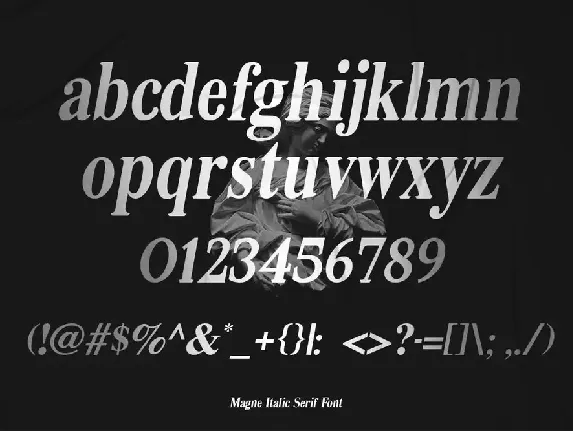 Magne Italic - Bold Serif Font