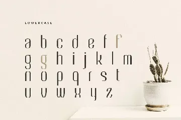 Angelia - Beauty Elegant Sans Serif font