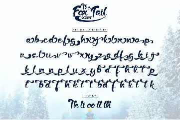 The Fox Tail - Font Duo