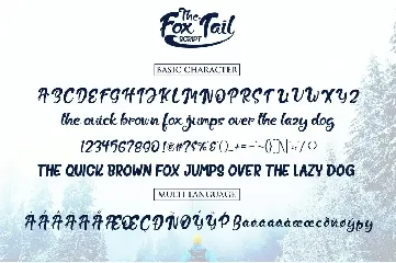 The Fox Tail - Font Duo