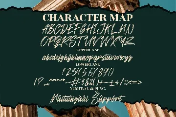 Sandershon Brush Script font