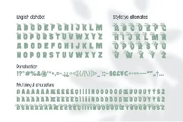 Bushman font set