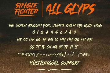 Single Fighter - Strong Brush Font