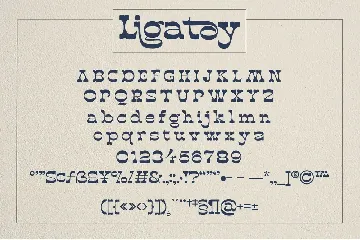 Ligatoy font