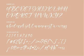 Hamida Script Font