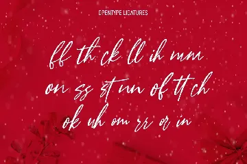 Another Christmas Script Font