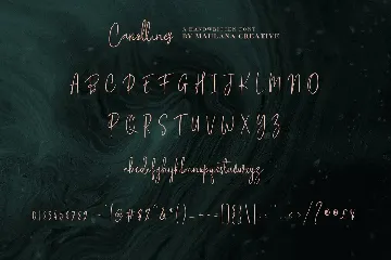 Carollines Script Font