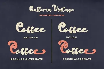 Galleria Vintage - Vintage Bold Script font