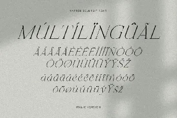 Matter Sculpsit | Modern serif font