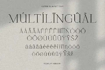 Matter Sculpsit | Modern serif font