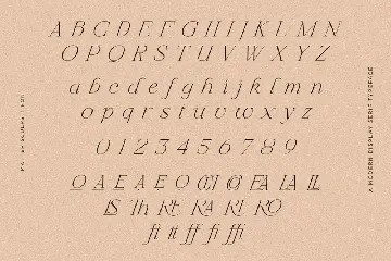 Matter Sculpsit | Modern serif font