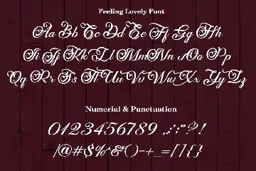 Feeling Lovely font