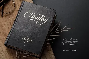 Ludovica - Vintage Script font