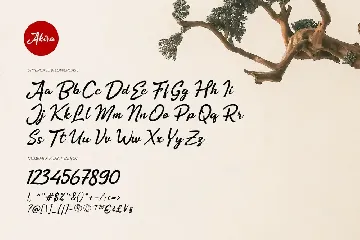 Akira - Zenbrush Script font