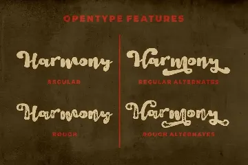 Harmony Vintage - Bold Vintage Script Font