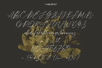 Seillamikha Feminine Script Font