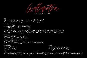 Wallapatra | Drybrush Handwriting Script Font