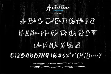 Austellia | Script Brush Font