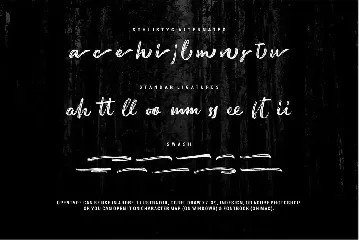 Austellia | Script Brush Font