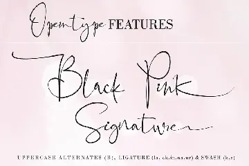 Black Pink Signature font