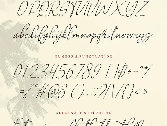 Allianta | A Beauty Handwritten Font