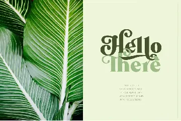 Mollas Typeface font