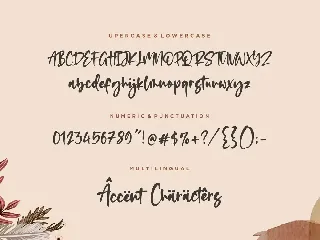 Romalian Script Font