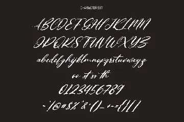 Asortings Signature Script Font