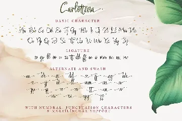 Carlottena font