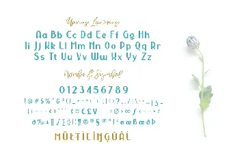 NERMOLA Scripcy Font