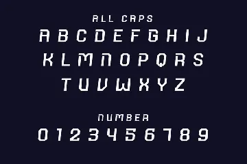 Ternov Font