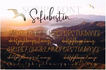 Sofiebestin Script font