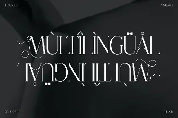 Champhin Classy Serif Font