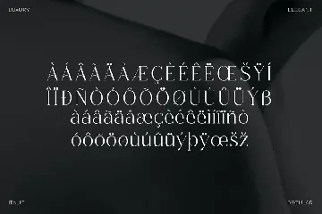 Champhin Classy Serif Font