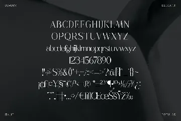 Champhin Classy Serif Font