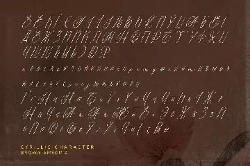 Brown Amsonia font