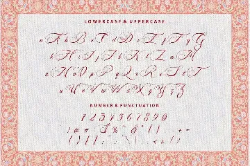 Glamorous Carpet - Luxurious Calligraphy Font