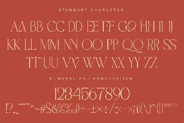 Stylish Modern Display Serif Font