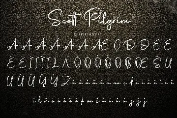 Scott Pilgrim | Handdraw Signature Font