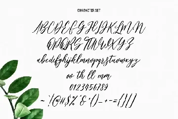 Bankports Signature Sript Font