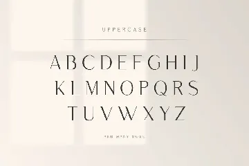 Saudagar Display Font + 7 Bonus Logo