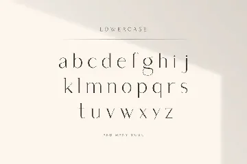 Saudagar Display Font + 7 Bonus Logo