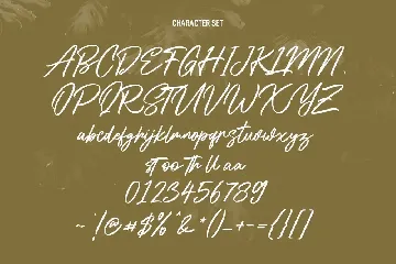 Shadyspeed Script Font