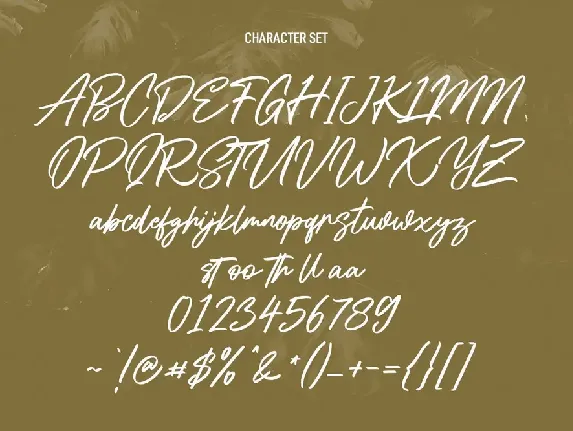 Shadyspeed Script Font