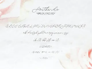 Southwide Feminine Script Font