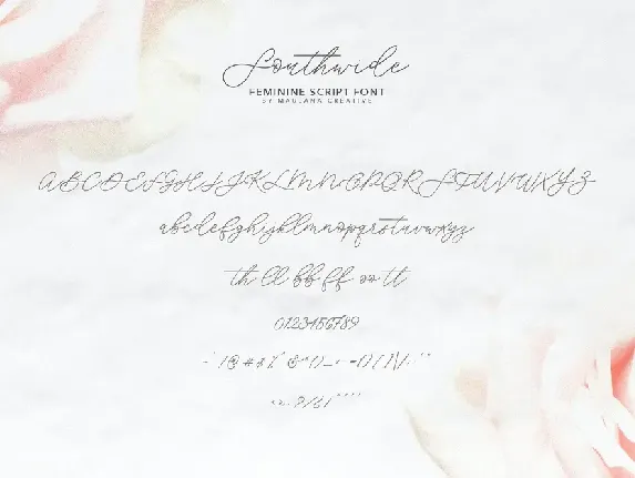 Southwide Feminine Script Font